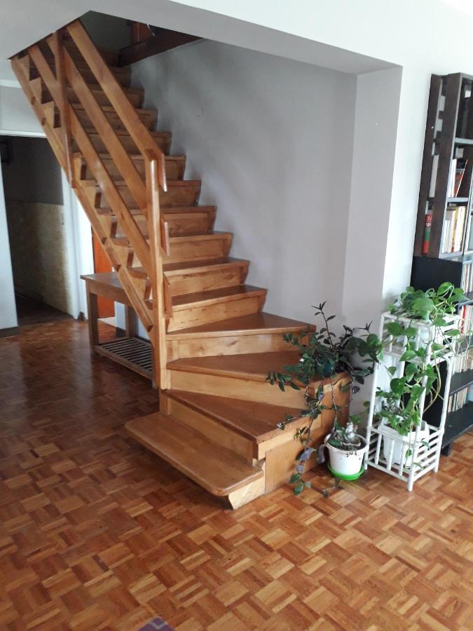 La Casa Del Mono Bed & Breakfast Ushuaia Ngoại thất bức ảnh